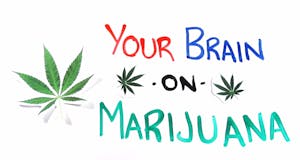 How Marijuana Affects Your Brain, Backed by Science