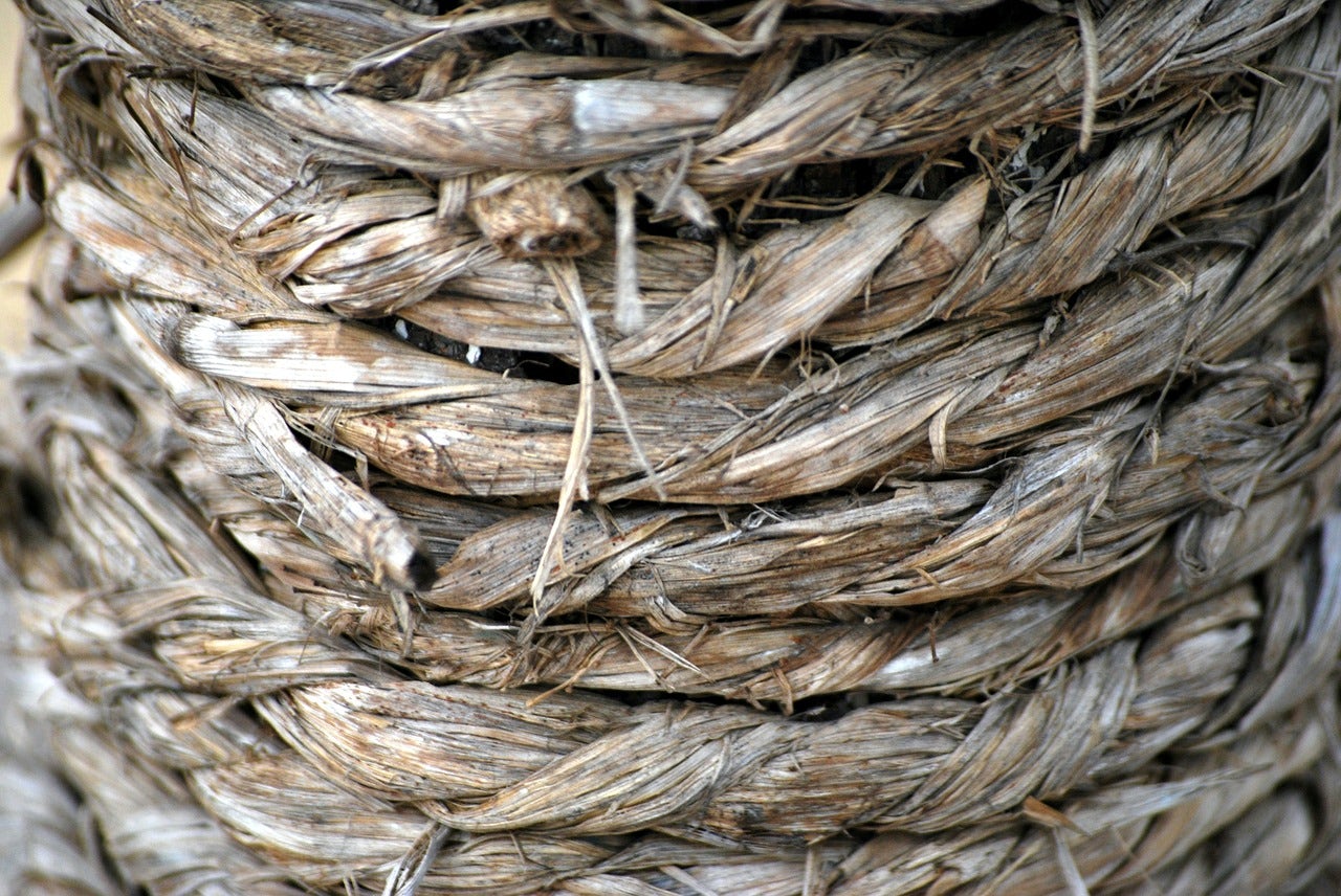 rope 19446 1280 What Is Hemp And Why Is It So Beneficial?
