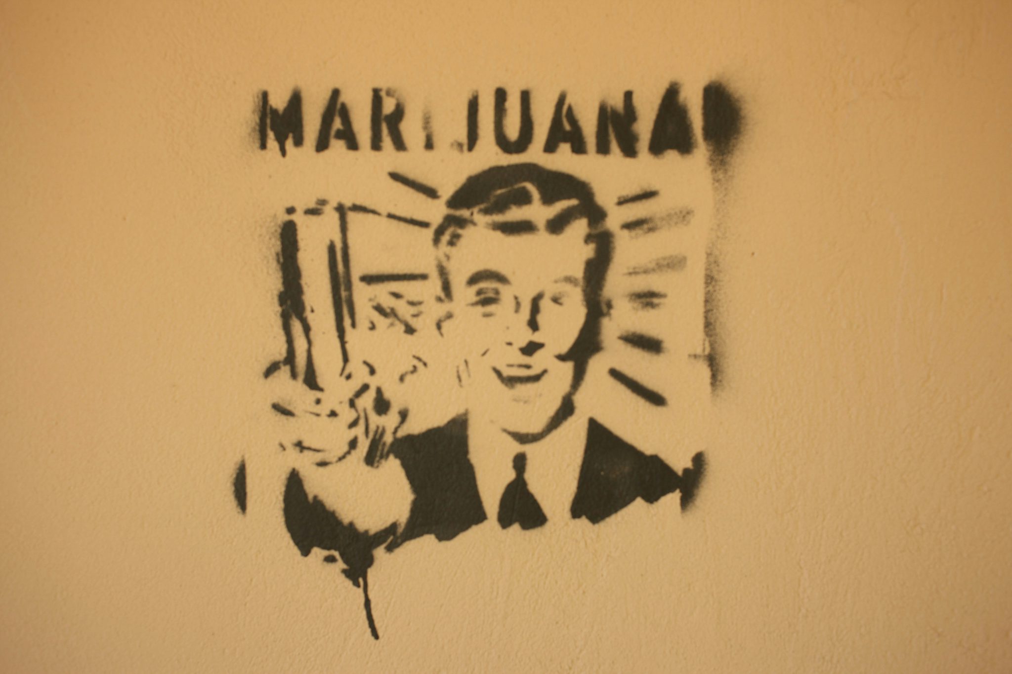 10062652454 59cd098a8c k The History of the Word Marijuana