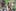 3096831968 2d96f66407 b 1024x680 Caught: Cops try to destroy evidence of their behavior after dispensary raid. They missed 3 cameras.