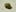 44312466 4bd34f4248 o How do you explain your brain on drugs to someone whos never tried them? Visually of course.