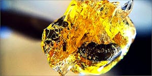 World’s Biggest Dab Hit Proves You Can’t OD On Cannabis