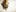 shutterstock 181638089 e1436894628141 How is Legal Weed in America Changing Things in Mexico?