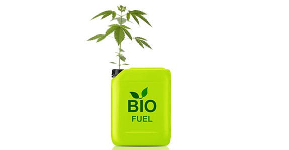 Hemp Biofuel Successful CEOs Who Have Enjoyed The Herb