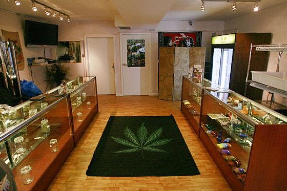 dispensary marijuana Is Louisiana Going to Be the Next State to Legalize Cannabis?