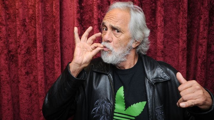 TommyChongRollingStoner Successful CEOs Who Have Enjoyed The Herb
