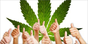 11 Non-Medical Benefits of Marijuana