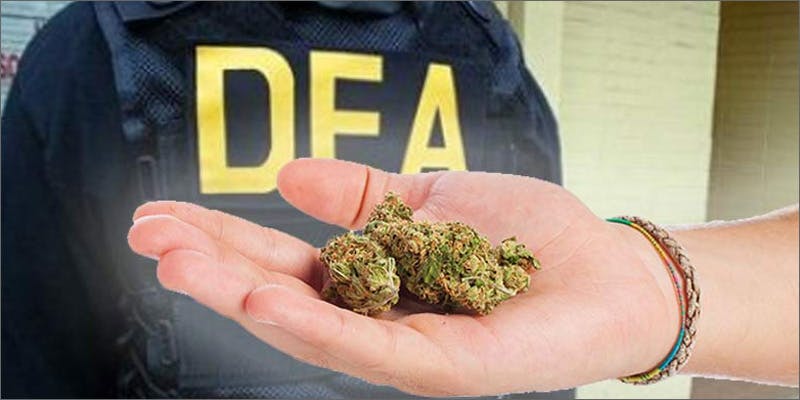 dea featured1 What You Need To Know From Latest DEA Cannabis Report