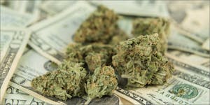 420 Retail Cannabis Sales Hit A Massive $45 Million This Year