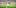 nfl nate NFL Players Find Relief In Cannabis