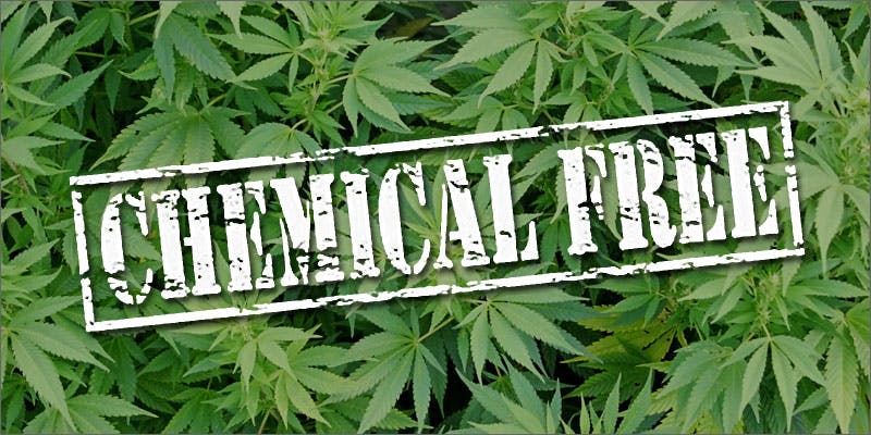 pesticides 05 Concerns Over Marijuana And Pesticide