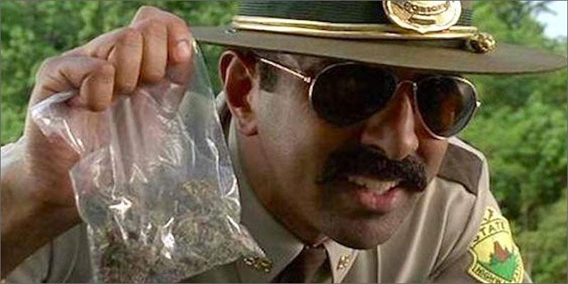 1000 feature College Students Are Using More Cannabis & Fewer Opioids