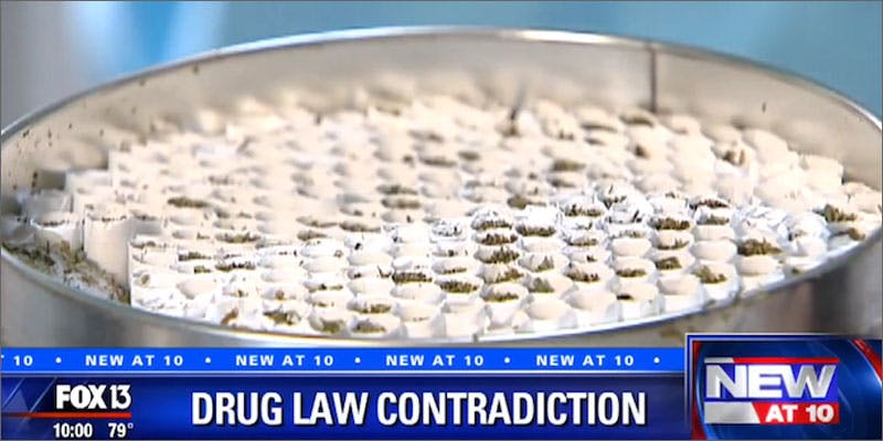 Government Gives Free Joint For Life