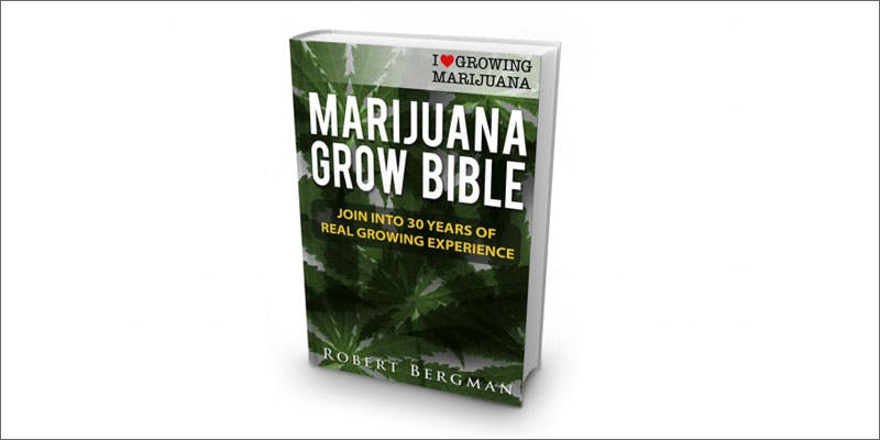 grow bible 5 Chores To Do While High