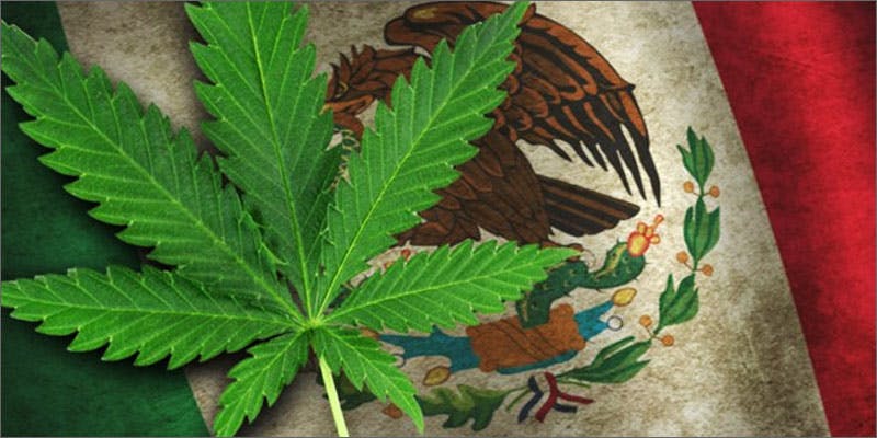 Mexico decriminalize marijuana