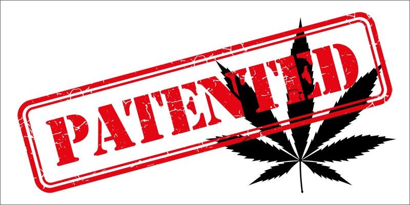 government own marijuana patents
