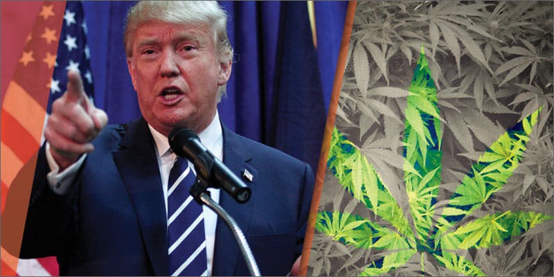 politics trump Which Politicians Want to Legalize Marijuana in the 2016 Election?