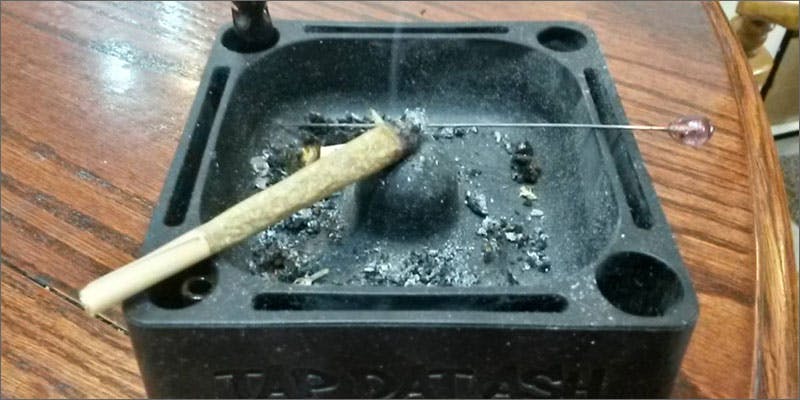 10 rules ash 5 Chores To Do While High