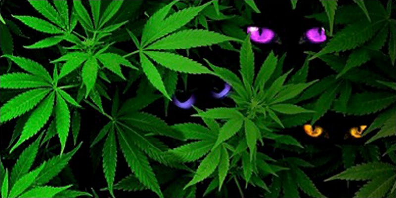 6 The Most Kickass Lighter On The Planet