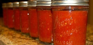 Pot Pizza Sauce