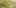 aphid 10 Things Youll Understand If Youre A 20 Something Weed Smoker