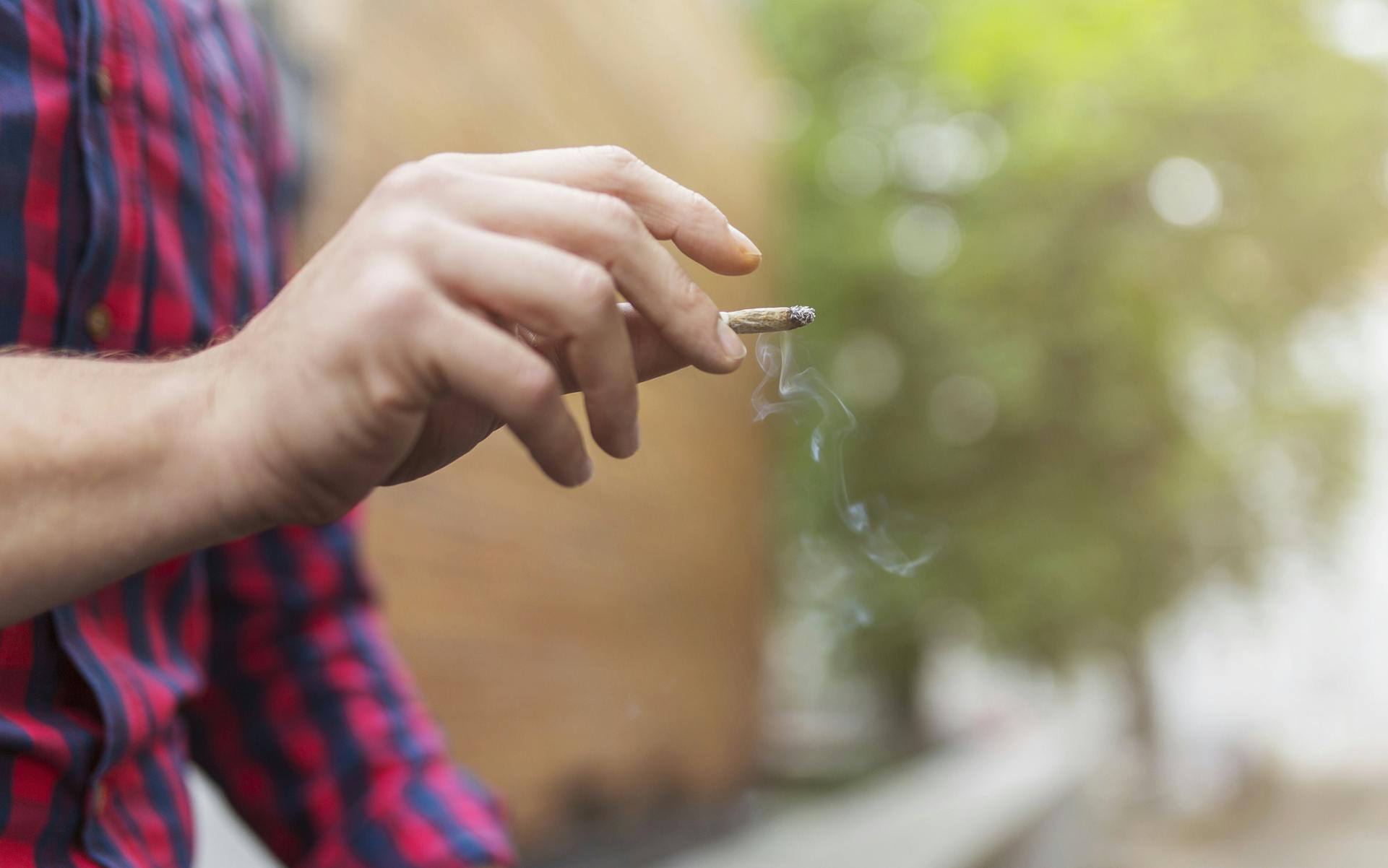 factors that impact cannabis burn rates Weed Etiquette: Smoking Tips You Should Know