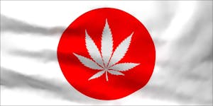 Japan’s Secret History With Cannabis