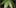 leaf miners 10 Tasty Adult Treats That Will Remind You Of Your Childhood