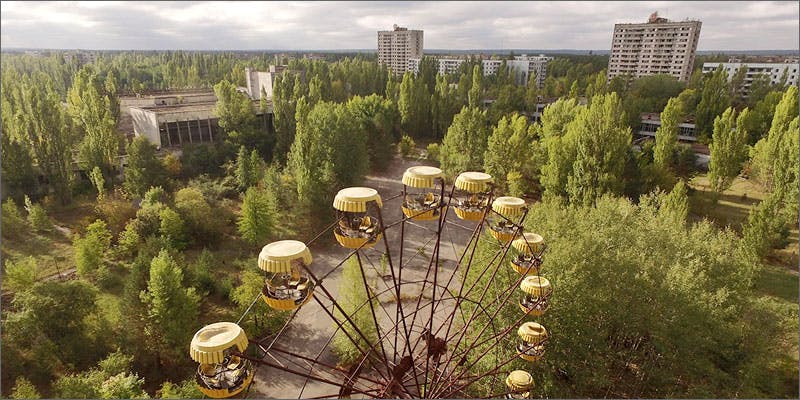 chernobyl Hemp Vs. Nuclear Waste