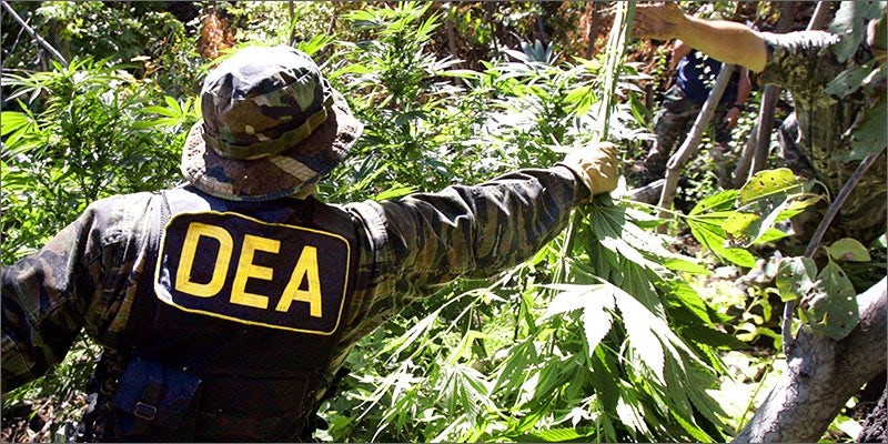 dea Why The Green Rush Is The New Wild West