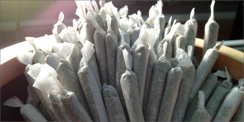 joints 21 Shocking Weed Facts That Will Make You Say OMG