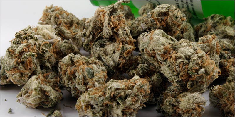 10 sativa ci 1 Worlds Most Famous Reggae Name Launches Own Weed Line