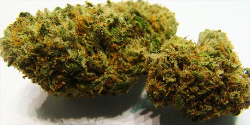 10 sativa ci 10 Worlds Most Famous Reggae Name Launches Own Weed Line