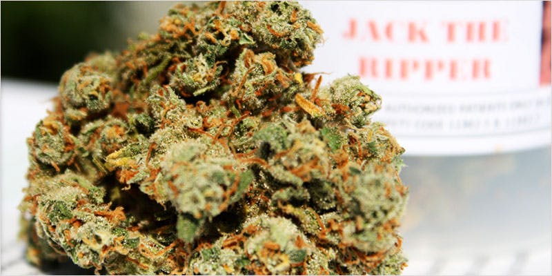 10 sativa ci 11 Worlds Most Famous Reggae Name Launches Own Weed Line
