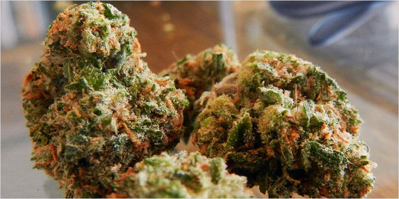 10 sativa ci 4 Worlds Most Famous Reggae Name Launches Own Weed Line