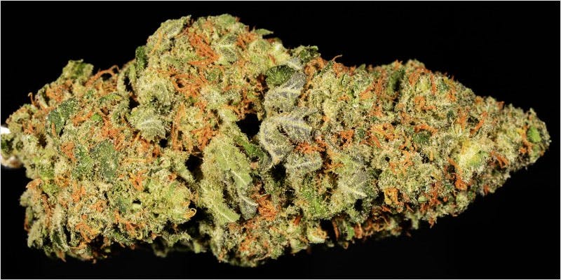 10 sativa ci 5 Worlds Most Famous Reggae Name Launches Own Weed Line