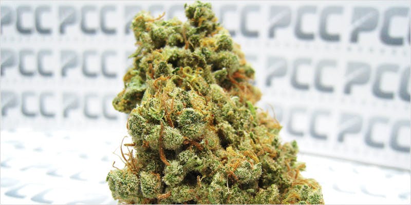 10 sativa ci 6 Worlds Most Famous Reggae Name Launches Own Weed Line