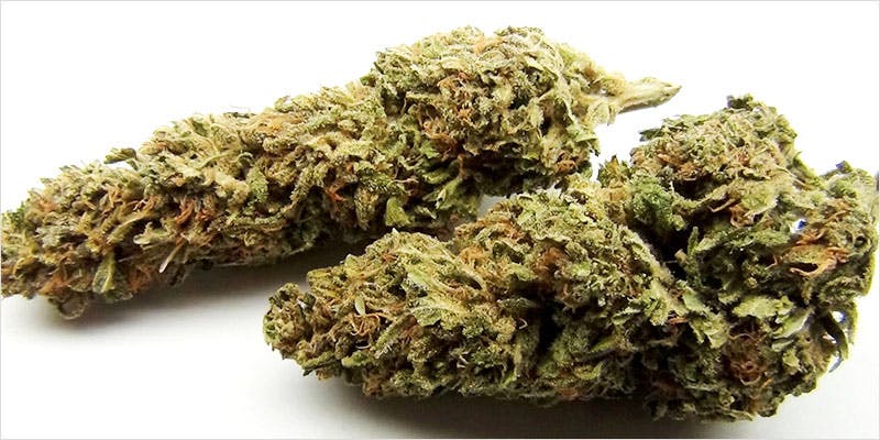 10 sativa ci 7 Worlds Most Famous Reggae Name Launches Own Weed Line