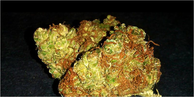 10 sativa ci 8 Worlds Most Famous Reggae Name Launches Own Weed Line