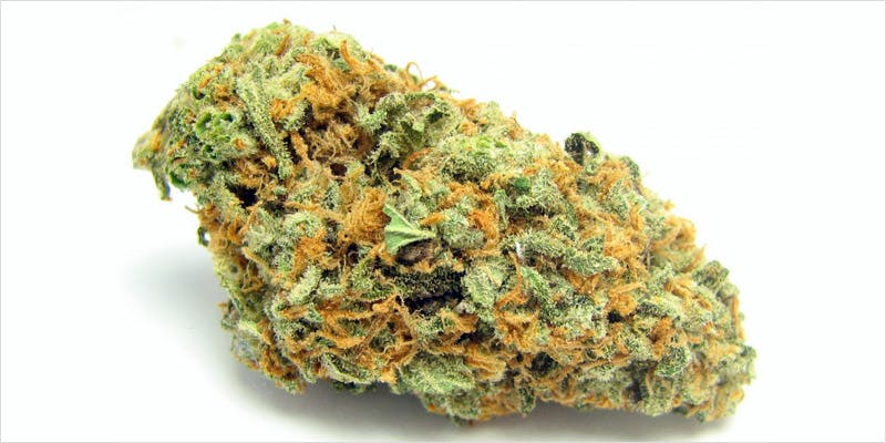 10 sativa ci 9 Worlds Most Famous Reggae Name Launches Own Weed Line
