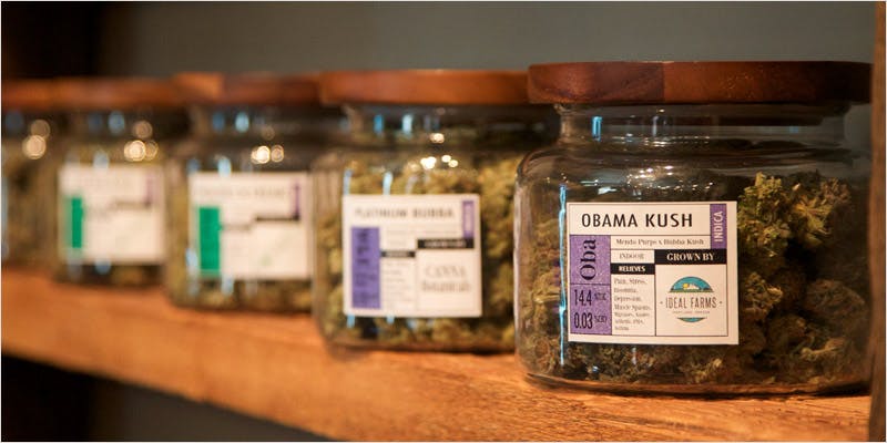 15 reasons dispensary better CI 3 15 Reasons Dispensaries Are Way Better Than Dealers