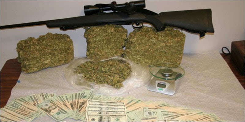 2 rabbits important cancerpatients money guns Guy Busted With 26 Kilos Of Weed. His Excuse Was Priceless.
