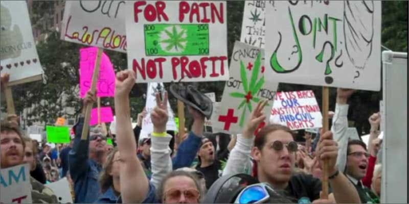 3 first funded mmj downunder protest 1 First Funded Medical Marijuana Case Approved Downunder