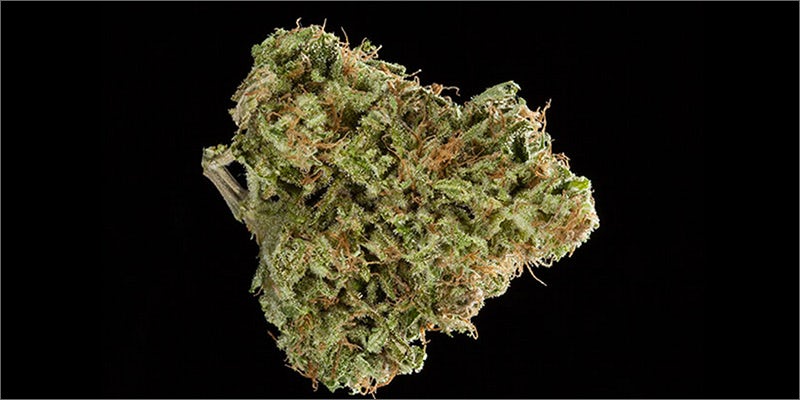 4 1 Check Out The Big Winners Of The SoCal Medical Cannabis Cup
