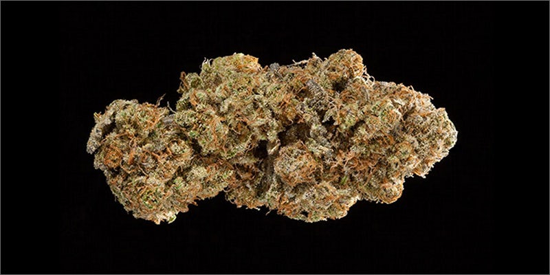 6 Check Out The Big Winners Of The SoCal Medical Cannabis Cup