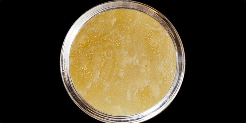 7 Check Out The Big Winners Of The SoCal Medical Cannabis Cup