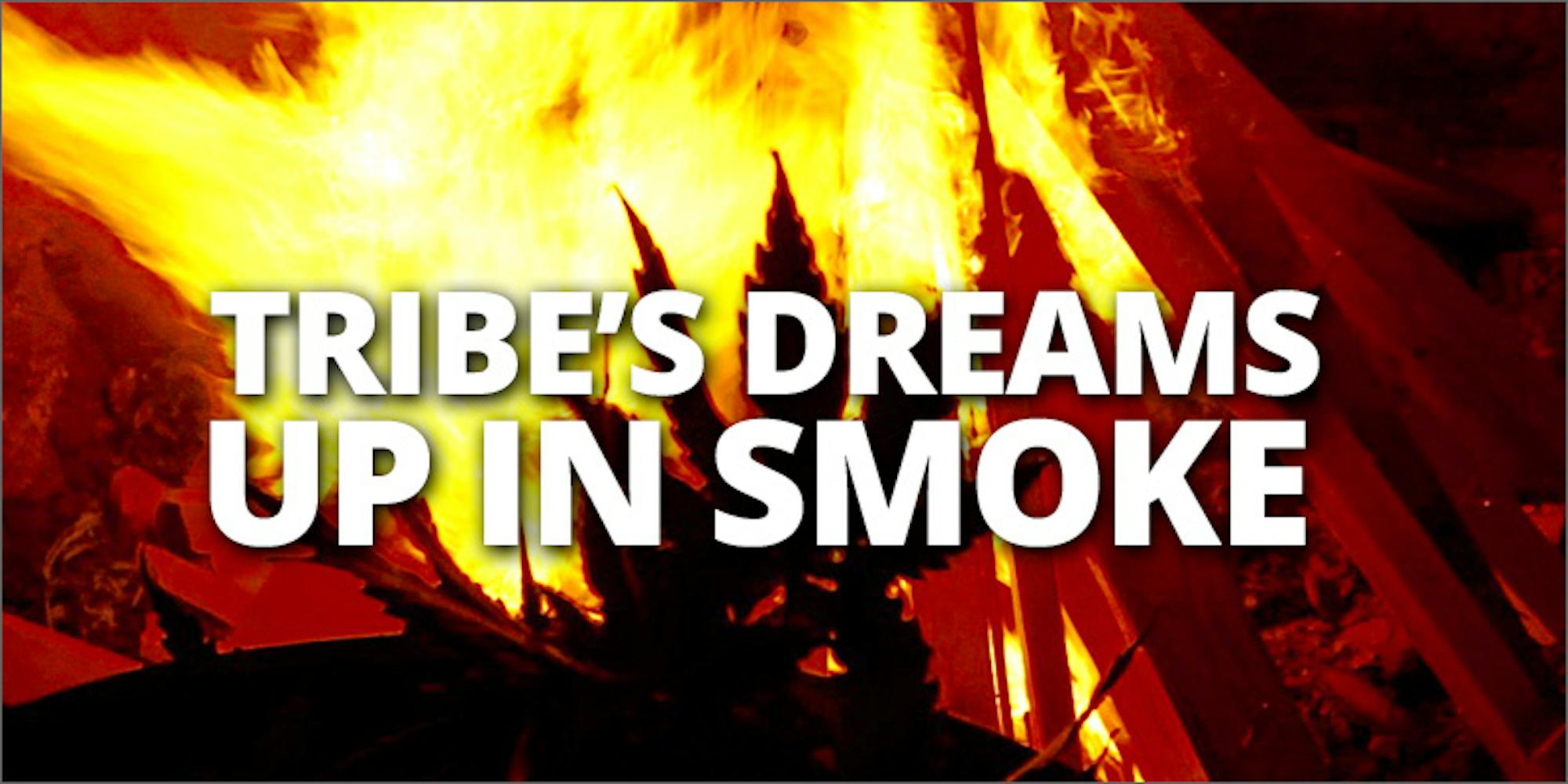 Flandreau Santee Sioux Tribe Burns All Their Weed! Herb