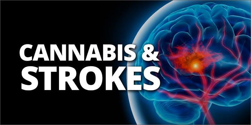 Studies Show Surprising Link Between Cannabis And Strokes