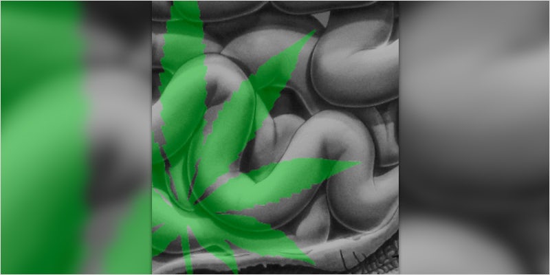 celiac sufferers CI 2 Guy Busted With 26 Kilos Of Weed. His Excuse Was Priceless.