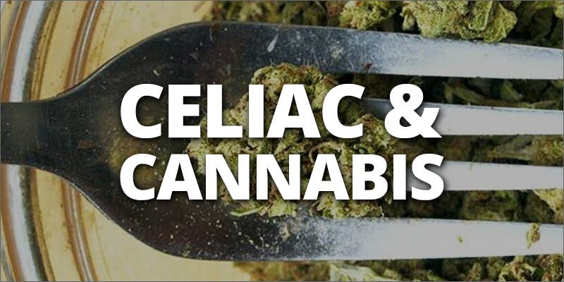 Celiac Disease And Cannabis: Is Help At Hand?